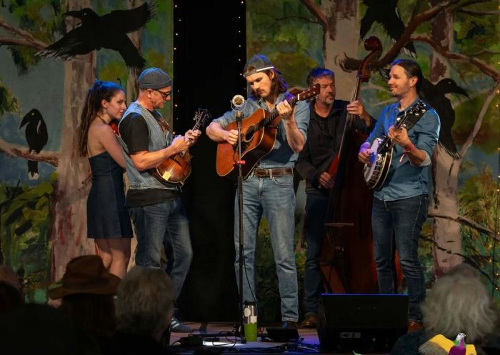 Band playing, Dorrigo Folk and Bluegrass Festival, Dorrigo Showgrounds - Credit: Dorrigo Folk & Bluegrass Festival Incorporated
