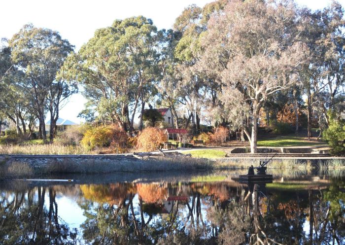 Trees reflecting on a pond in the tranquil parklands of Orange Botanic Gardens, Orange - Credit: Orange City Council