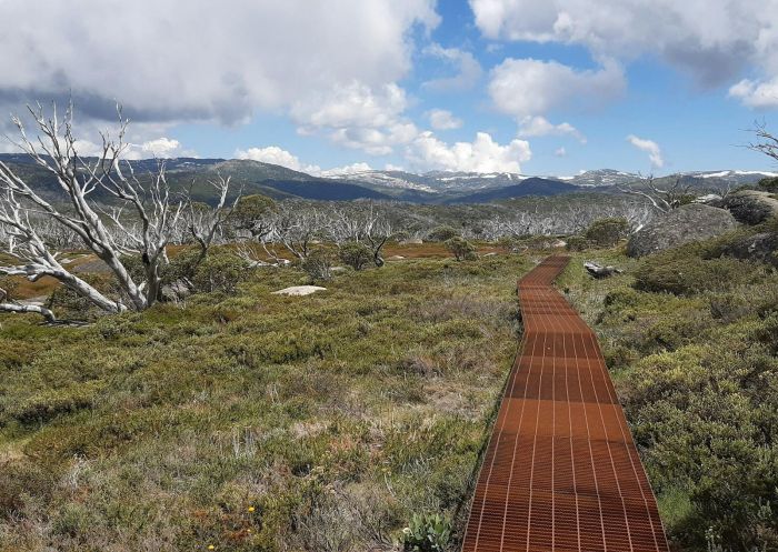 Metal track, Charlotte Pass Village to Perisher Valley walk, Charlotte Pass - Credit: Alek Cahill | DPE