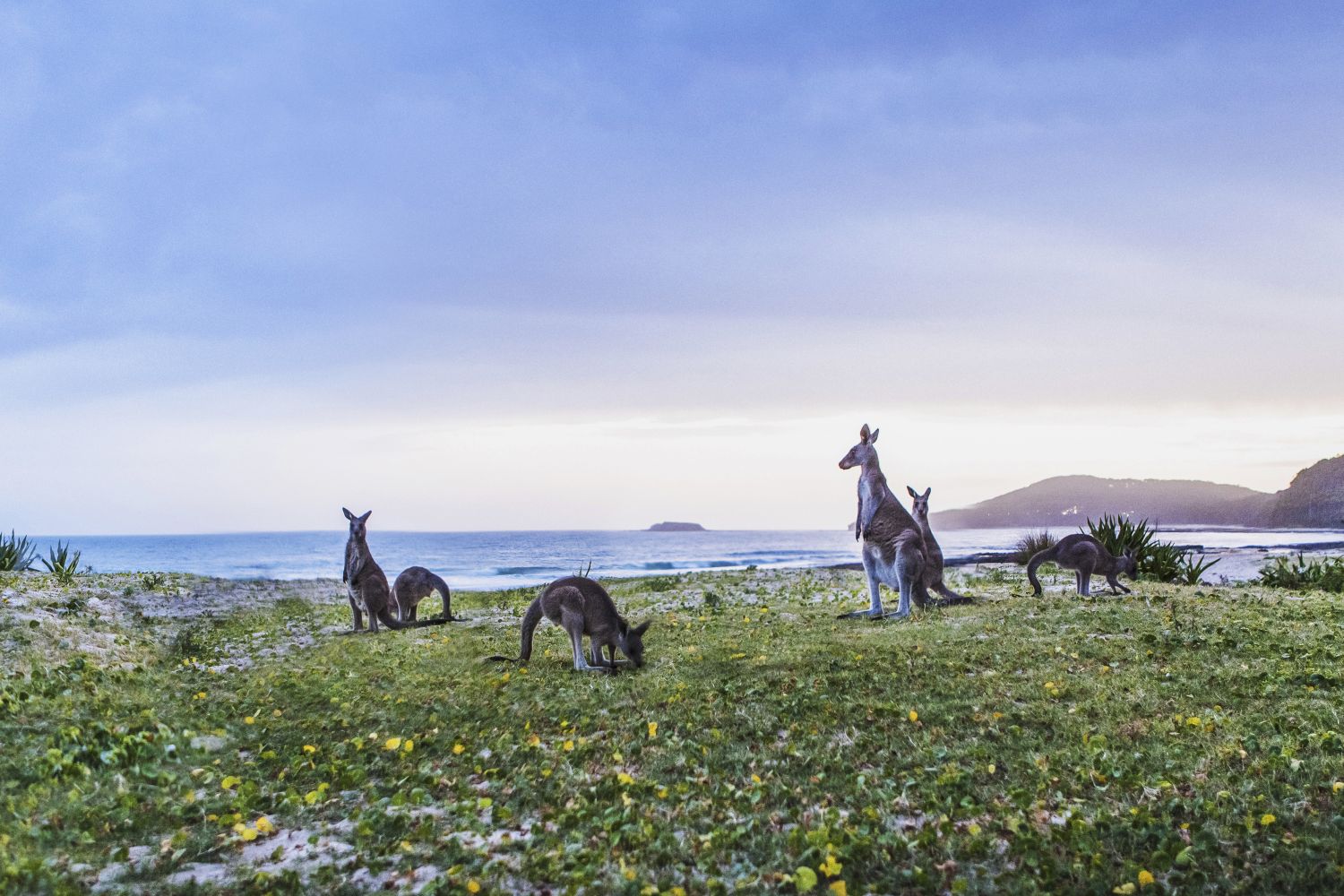 Pretty Beach, South Coast