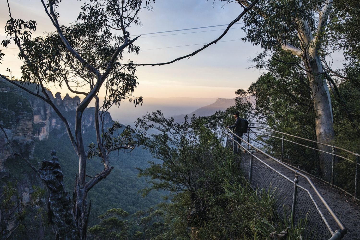 Blue Mountains Walks Bushwalking Walking Tracks Hikes Tours