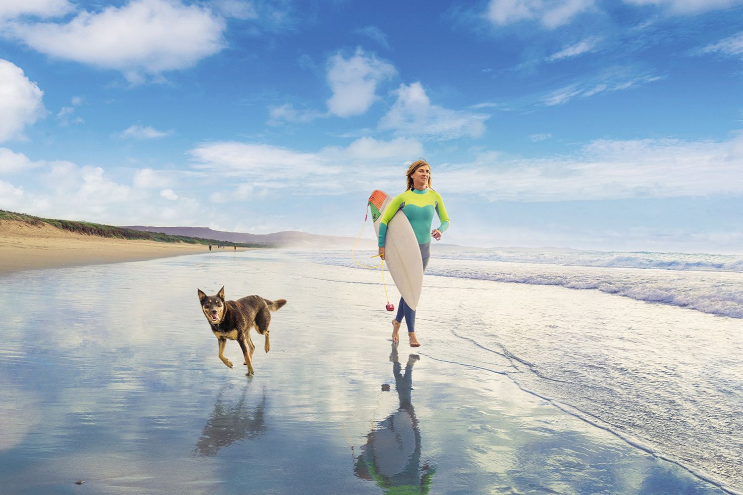 Shoalhaven Heads Accommodation Attractions Events