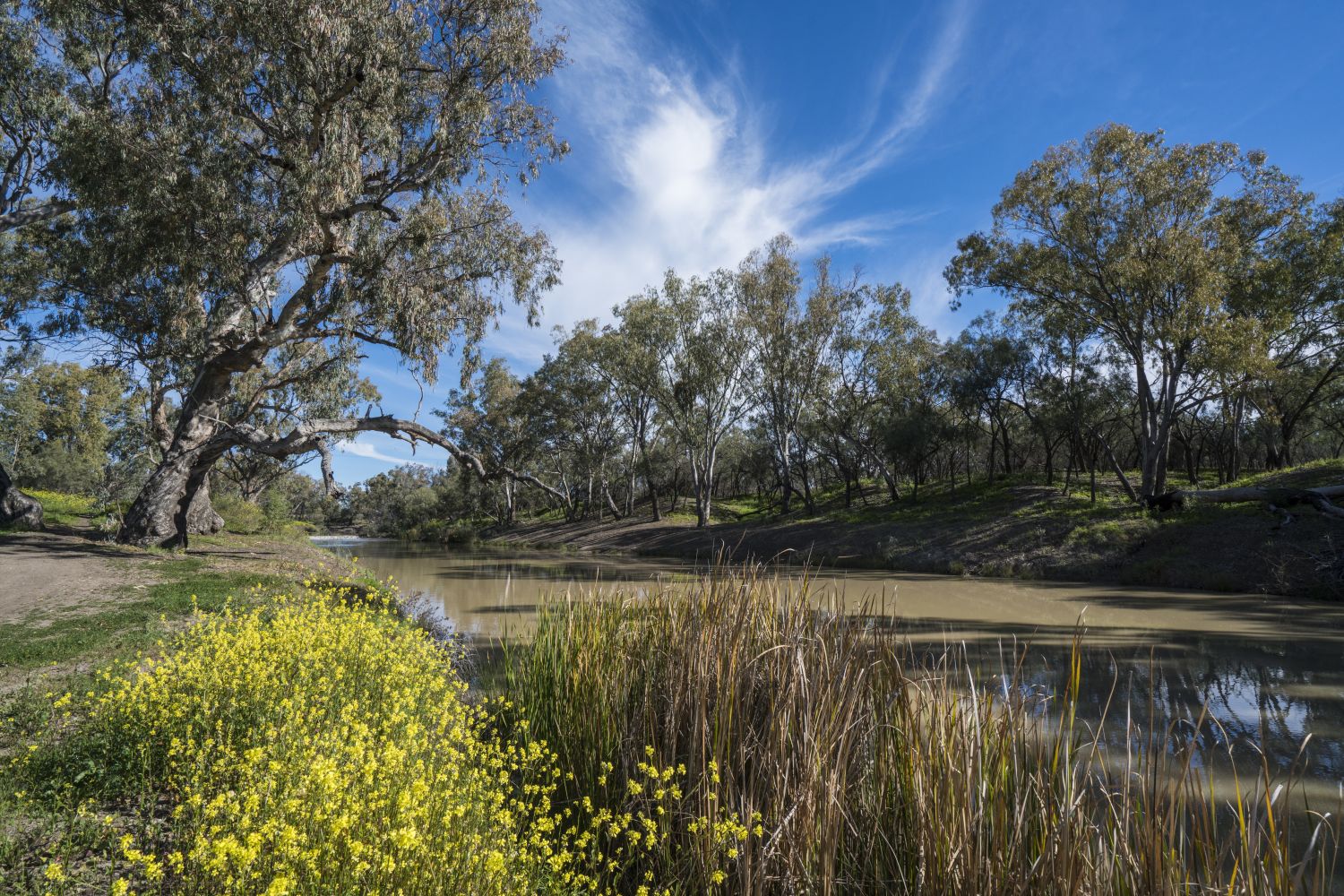 Walgett NSW Plan a Holiday Caravan Parks & Maps