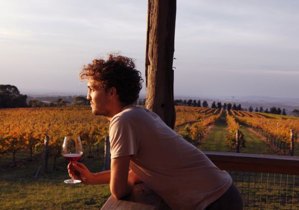 Man watching the sun set over De Salis Wines at Lofty Vineyard in Orange