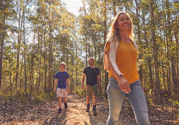 Mogo State Forest, Eurobodalla NSW