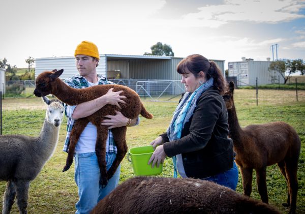 Rich Malaysian flavours come together with local lamb for this warming lamb rendang.