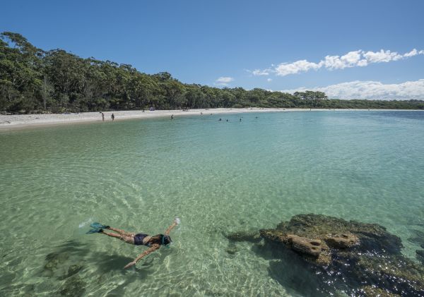 Woman snorkelling in the clear waters of Greenpatch, Jervis Bay