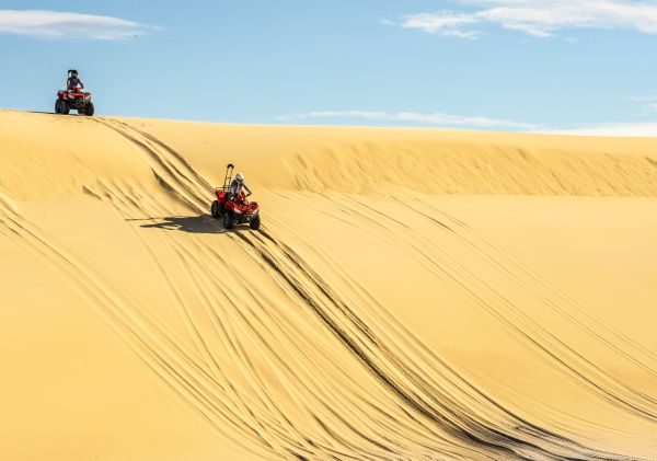 Tour with Sand Dune Adventures in Port Stephens
