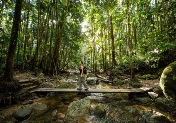 一名男子走過森林中的小河橋，抗議者瀑布，夜帽國家公園 - 圖片來源：利斯莫爾市議會