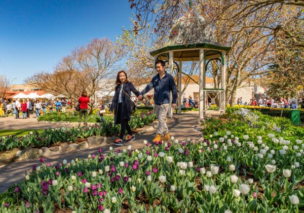 Couple enjoying the festival, Tulip Time Festival, Bowral