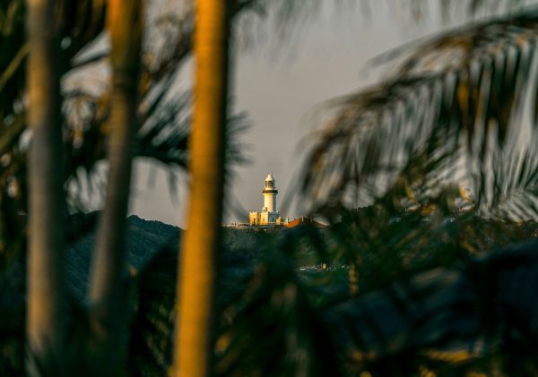 Blick durch die Bäume, Leuchtturm Cape Byron, Byron Bay