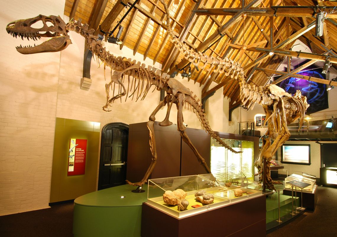Dinosaur skeletons at the Australian Fossil and Mineral Museum, Bathurst