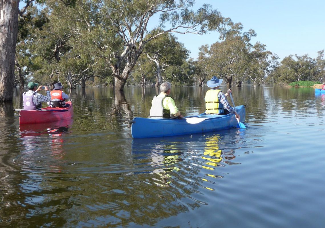 Canoeing on Doodle Cooma Swamp in Henty, The Murray