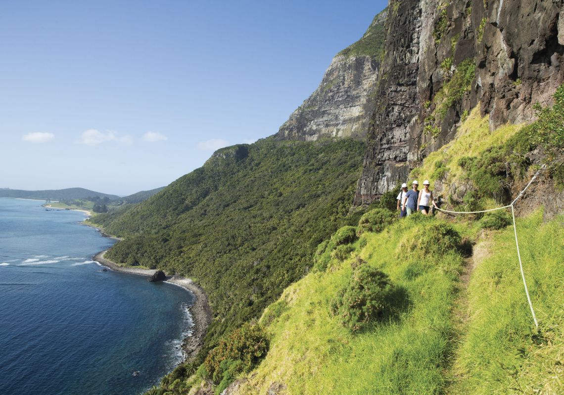 徒步攀登澳洲豪勳爵島（Lord Howe Island）的高爾山（Mount Gower）