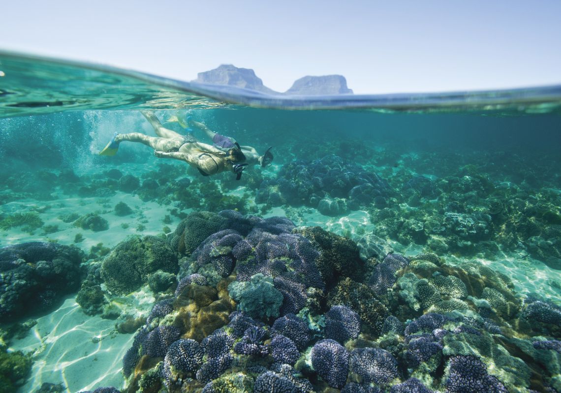 Couple snorkelling off Lord Howe Island