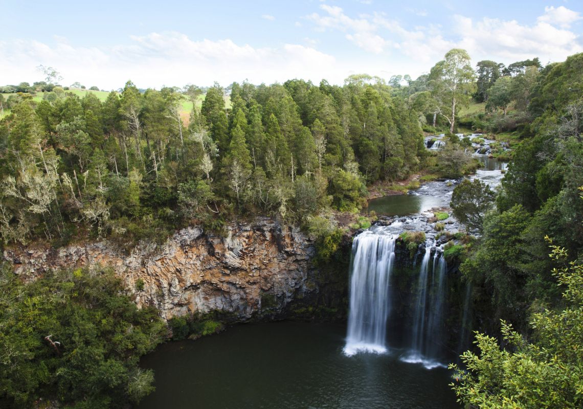 Dangar Falls seen from viewing platform, just north of Dorrigo, NSW North Coast