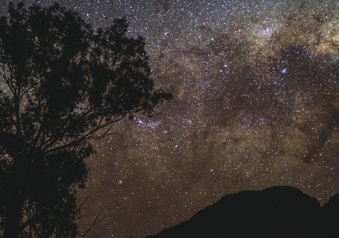 Starry night above a tree and mountain silhouette, Warrumbungles