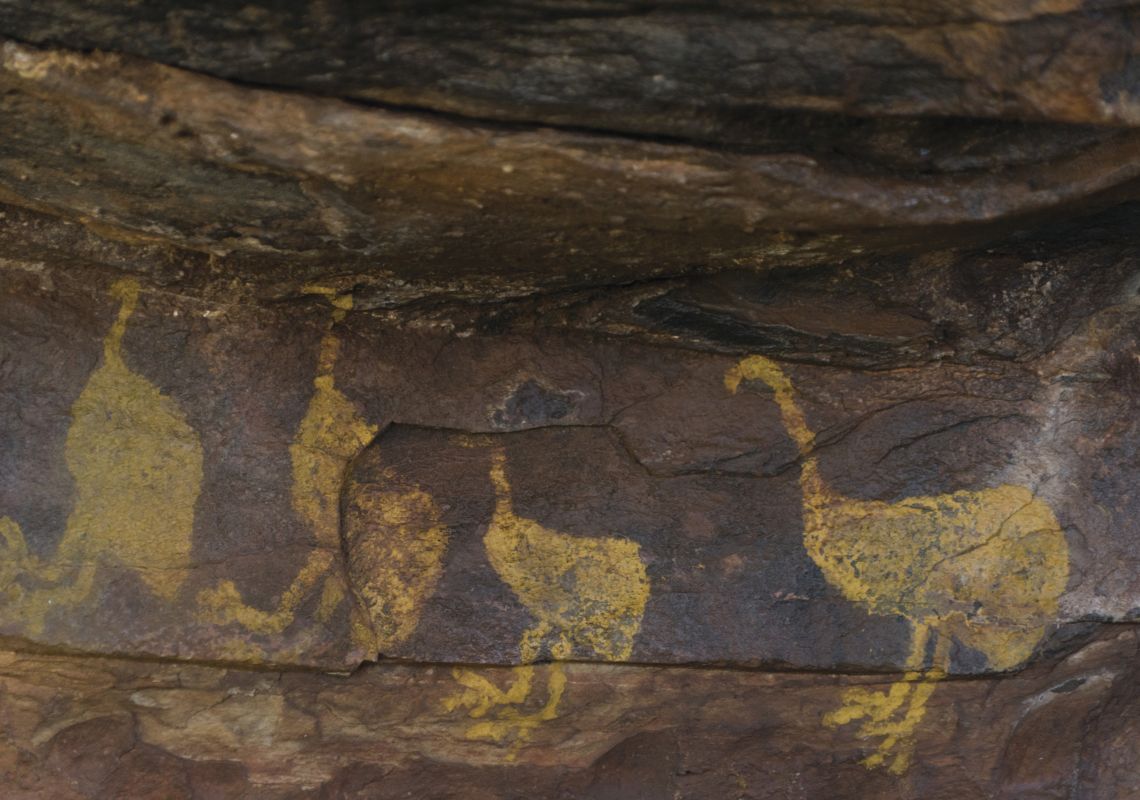Ancient Aboriginal rock art of emus painted in yellow ochre at the Mount Grenfell Historic Site near Nyngan