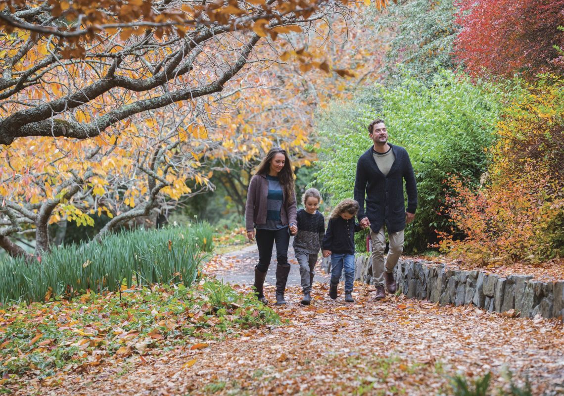 Family enjoying a visit to the Blue Mountains Botanic Garden in Mount Tomah, Blue Mountains