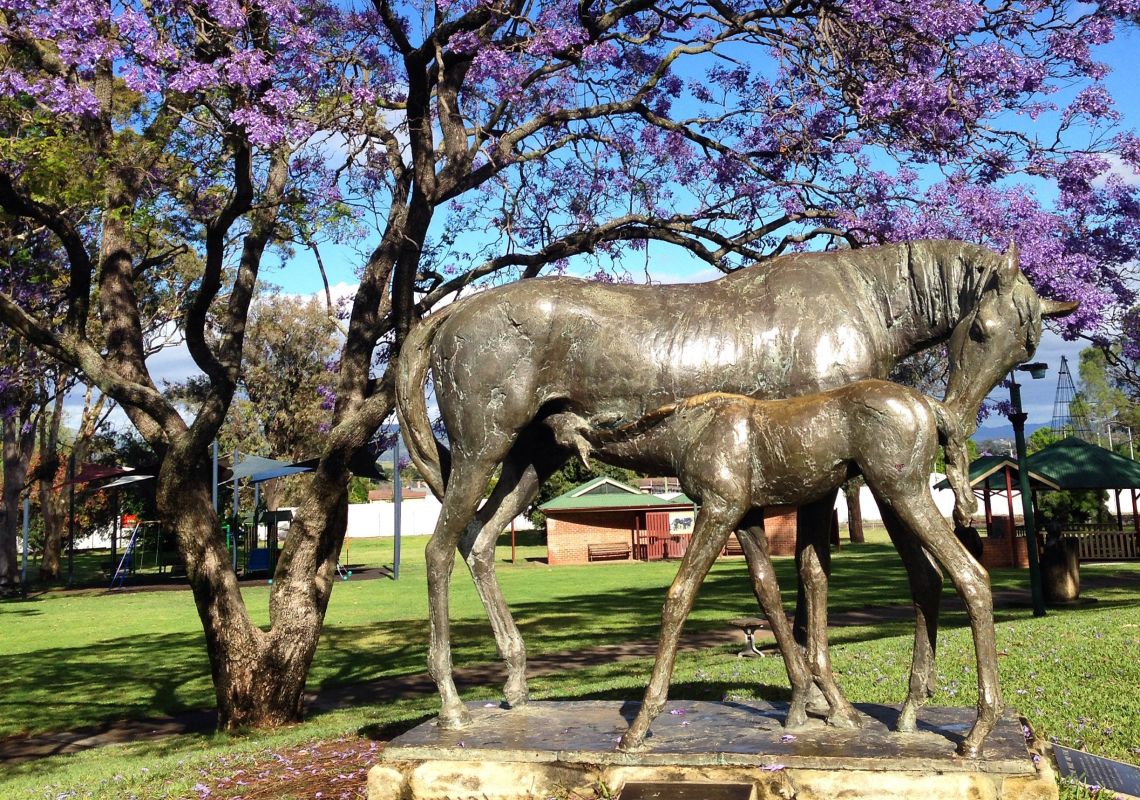 Scone Visitor Information and Horse Centre in Scone, Upper Hunter