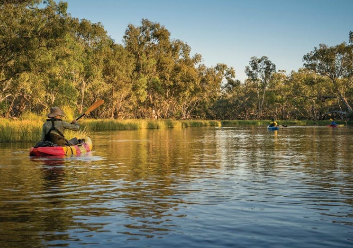 Macquarie Marshes Nature Reserve in Warrumbungle, Country NSW