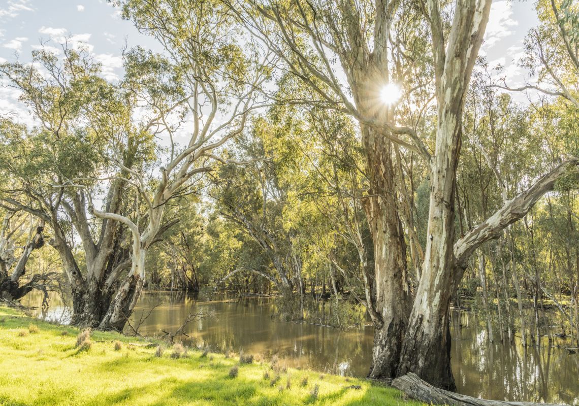 Darlington Point NSW Holidays & Things to Do