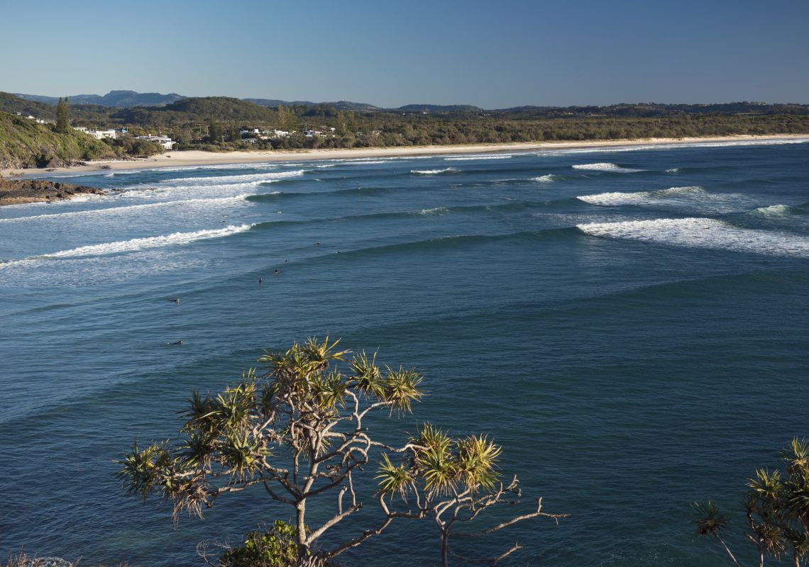 Surfing in NSW NSW Surf Beaches, Learn to Surf & Surfest Newcastle