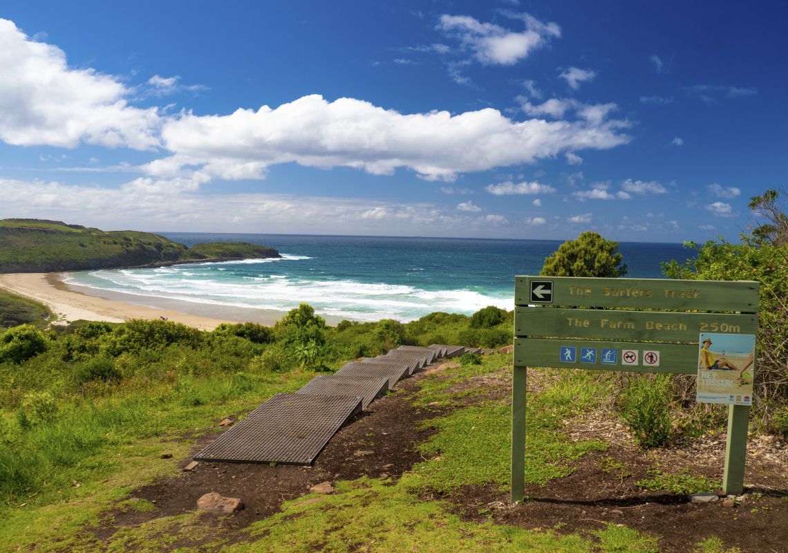 The surfers track down to Farm Beach in Killalea State Park, Shellharbour