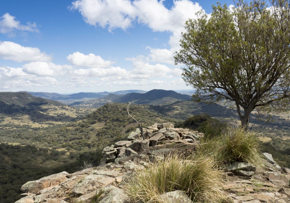 Views across the Warrumbungle Range from Pinnacle lookout in Coolah Tops National Park