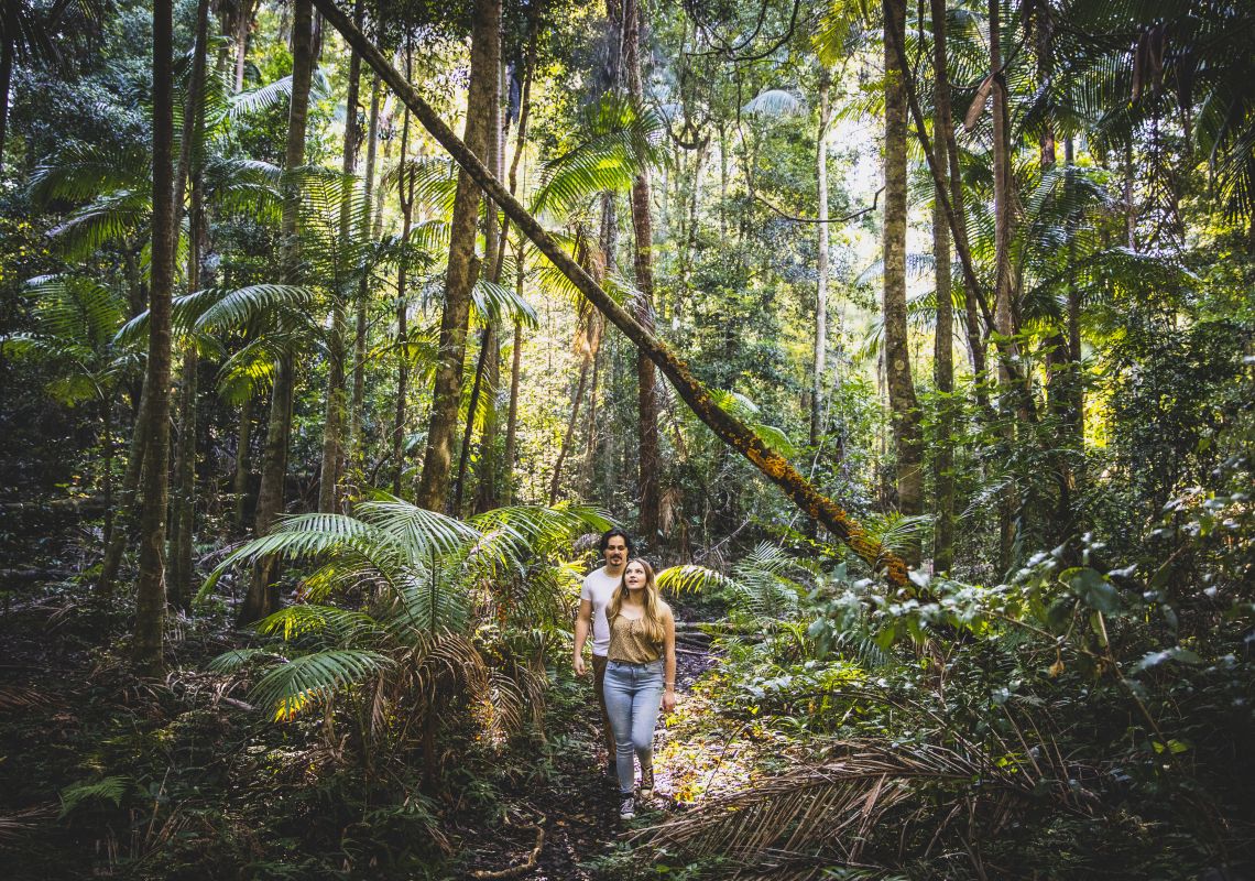 Couple enjoying a walk through Burrawan State Forest at Herons Creek in Port Macquarie, North Coast