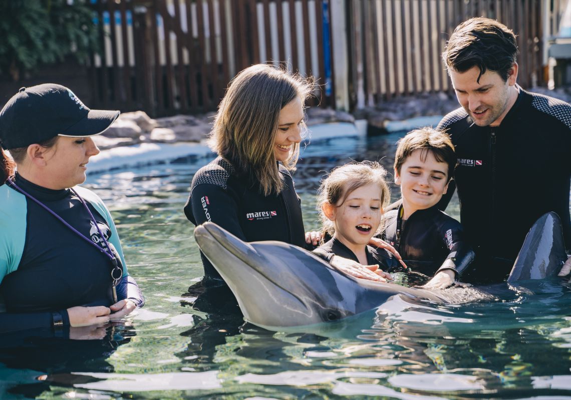 Family enjoying a dolphin experience at Dolphin Marine Conservation Park, Coffs Harbour