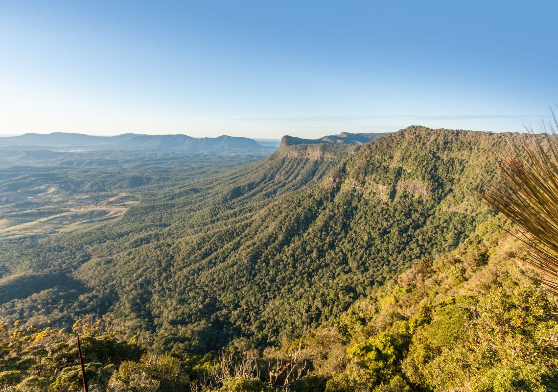 View from the Pinnacle Lookout across the Caldera to  Wollumbin Mount Warning
