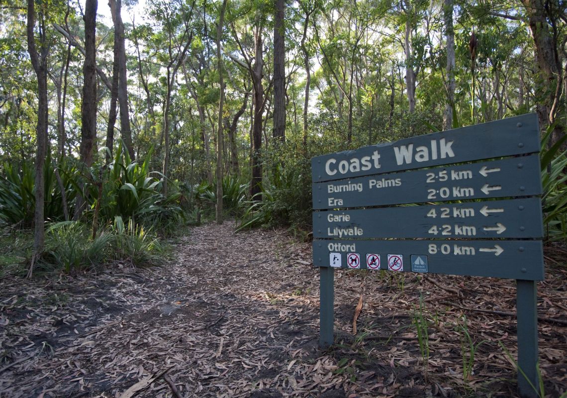 Coast walk signage, Palm Jungle Loop track, Royal National Park