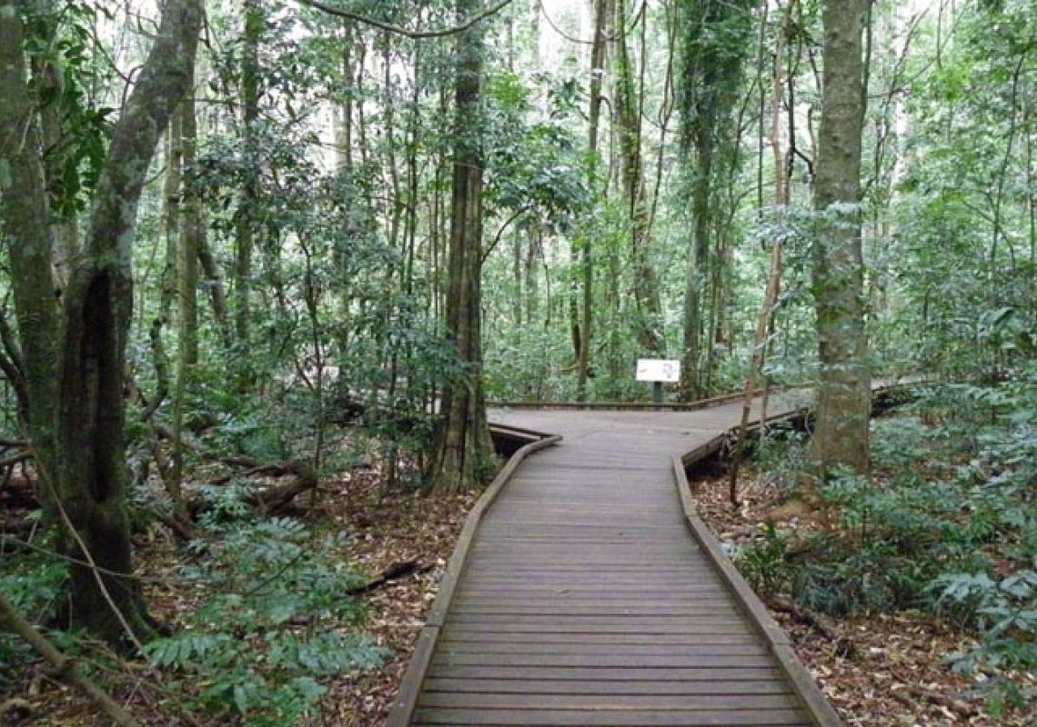 Victoria Park boardwalk in Victoria Park Nature Reserve, North Coast