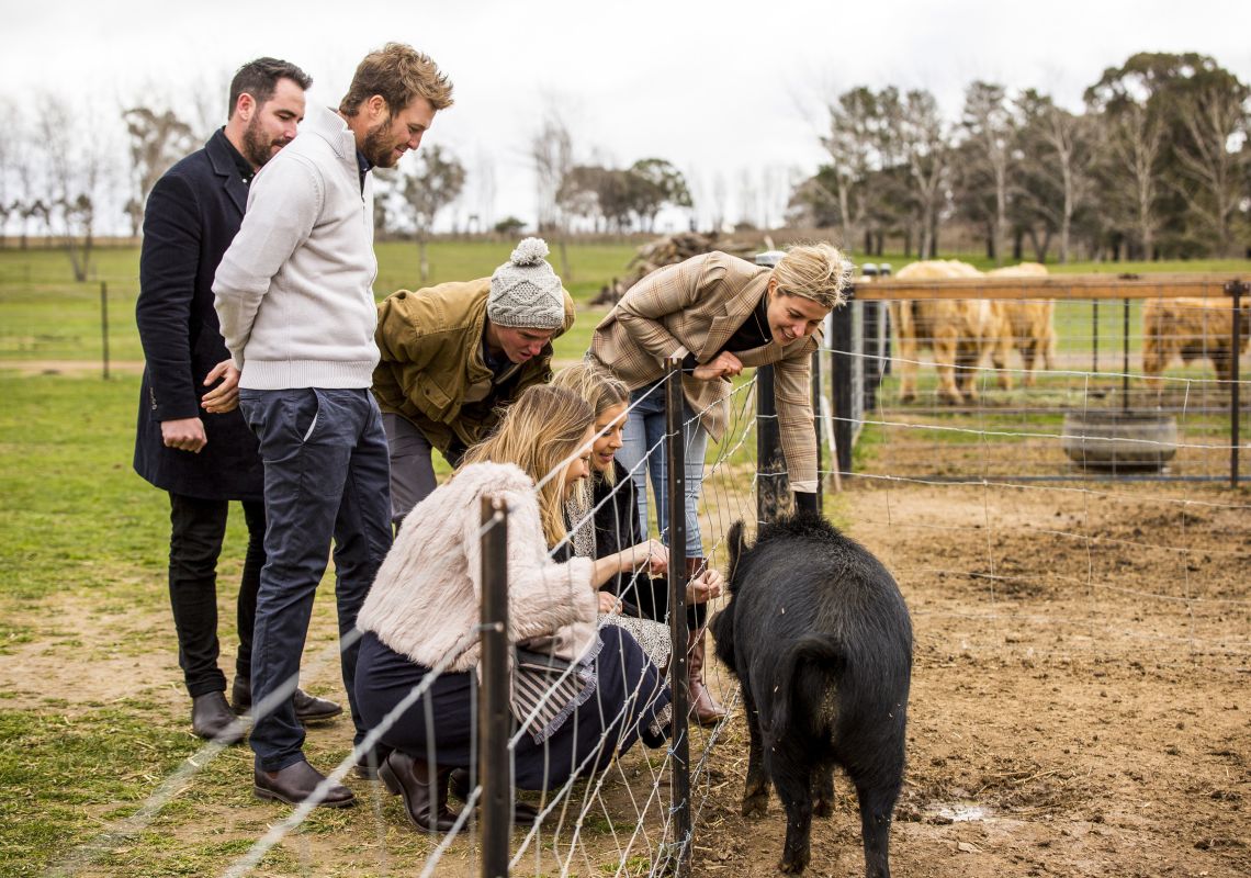 ヘイファーステーション（ふれあい動物園＆農場）で動物たちと触れ合う友人グループ -オレンジ