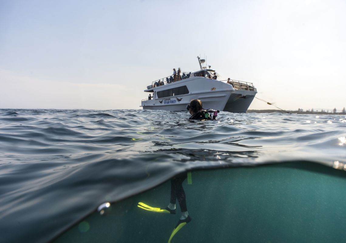 クック島沖のボート - フィンガル岬 -ノース・コースト