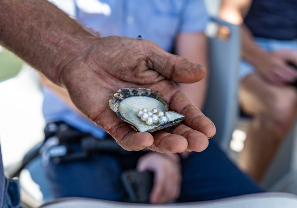 ブロークン・ベイ真珠養殖場