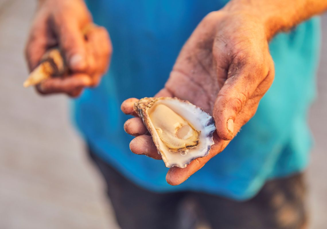 Farmer with a freshly opened oyster at Wray Street Oyster Shed, Batemans Bay, South Coast