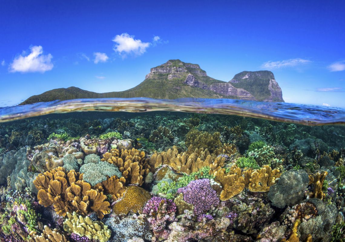 Coral gardens surrounding Lord Howe Island with views of Mount Lidgbird and Mount Gower - Credit: Jordan Robins