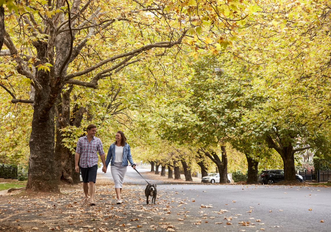 Couple enjoying a walk through tree-lined Sampson Street in Orange, Country NSW
