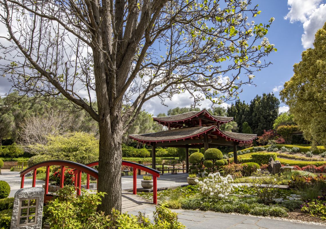 The scenic Oriental Garden section of the Hunter Valley Gardens, Pokolbin during Spring