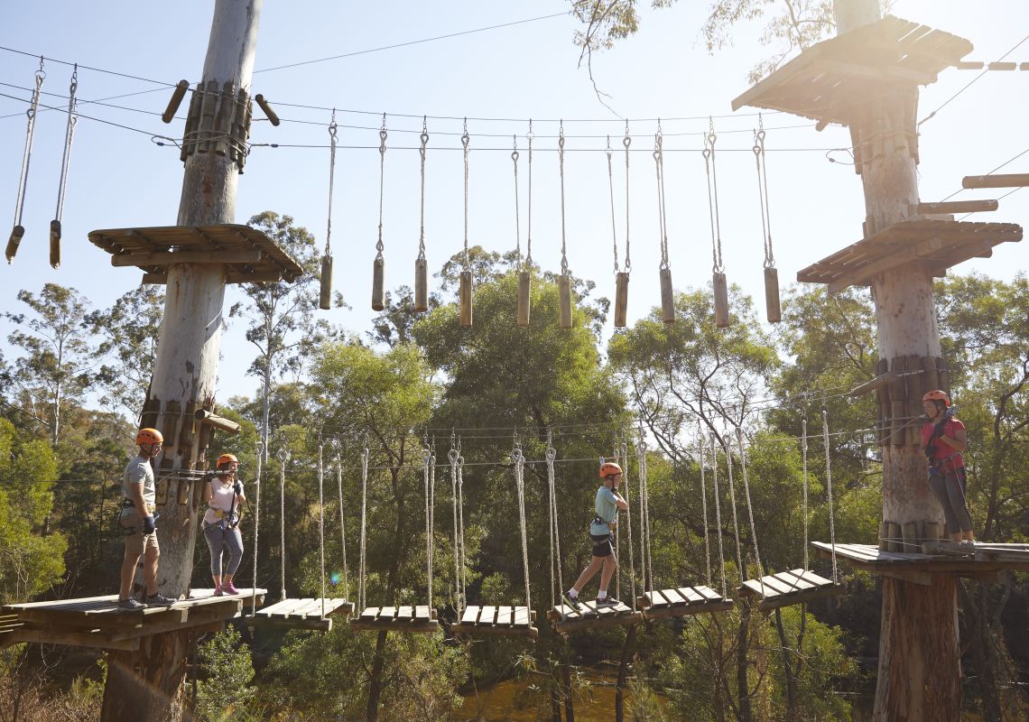 Family enjoying the fun and action at Trees Adventure Gross River Park, Yarramundi in the Hawkesbury Valley.