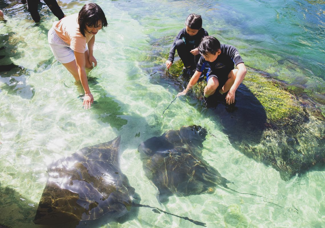 Family enjoying an animal feeding experience at Irukandji Shark and Ray Encounters at Anna Bay in Port Stephens