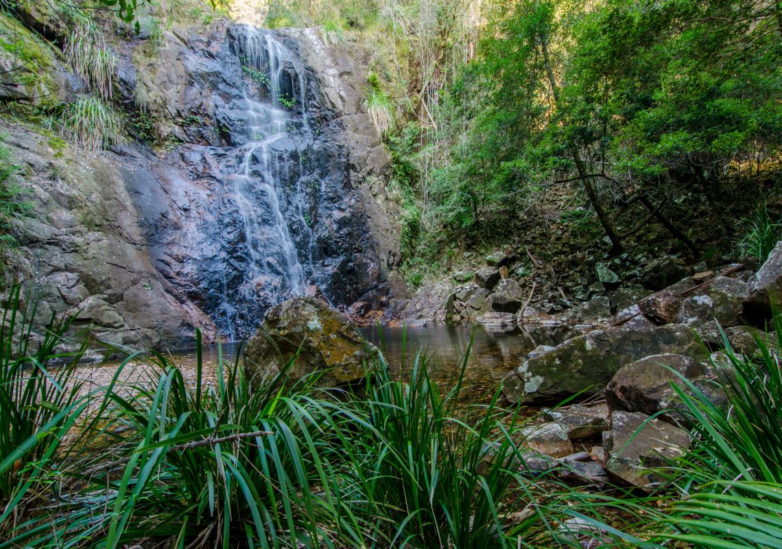 Waterfall Walk at Willi Willi National Park in Port Macquarie