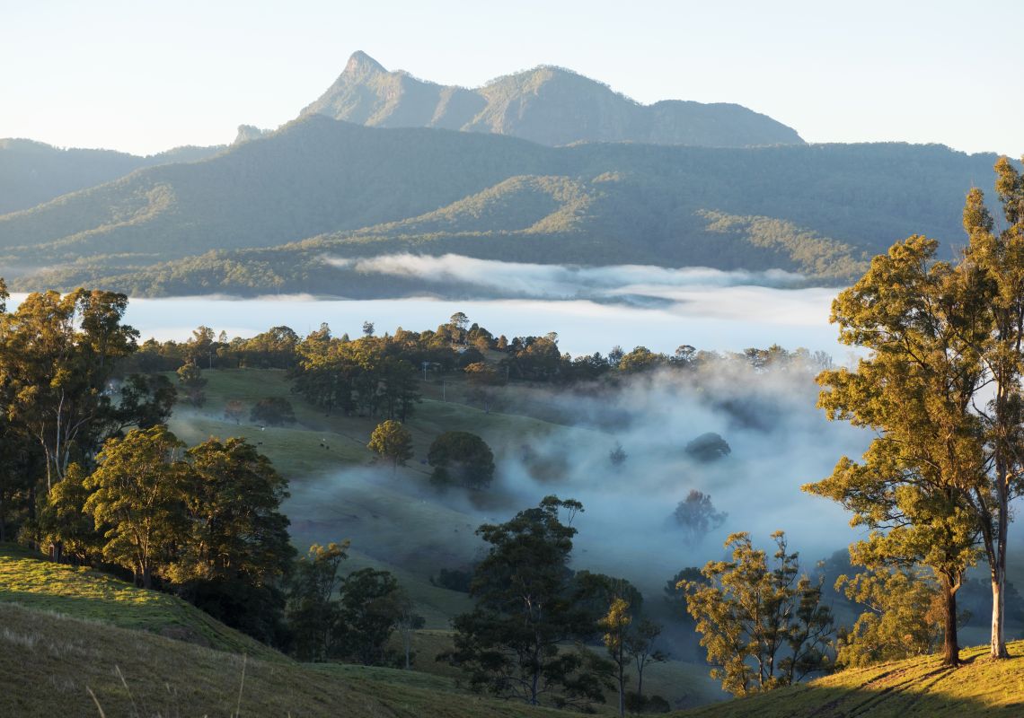 The Tweed Area NSW Plan a Holiday Hotels, Maps, Things To Do