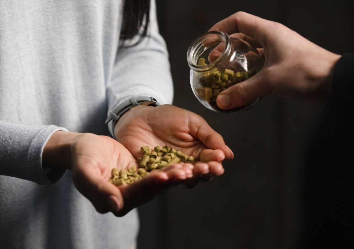 Woman holding hops used for brewing beer at IronBark Hill Brewhouse in Pokolbin, Hunter Valley