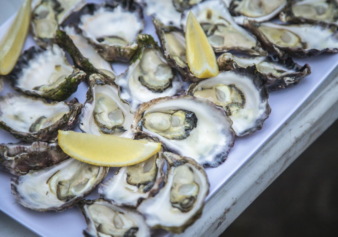 Freshly opened oysters on the Light 2 Light Coastal Walks guided walking tour menu, Edrom