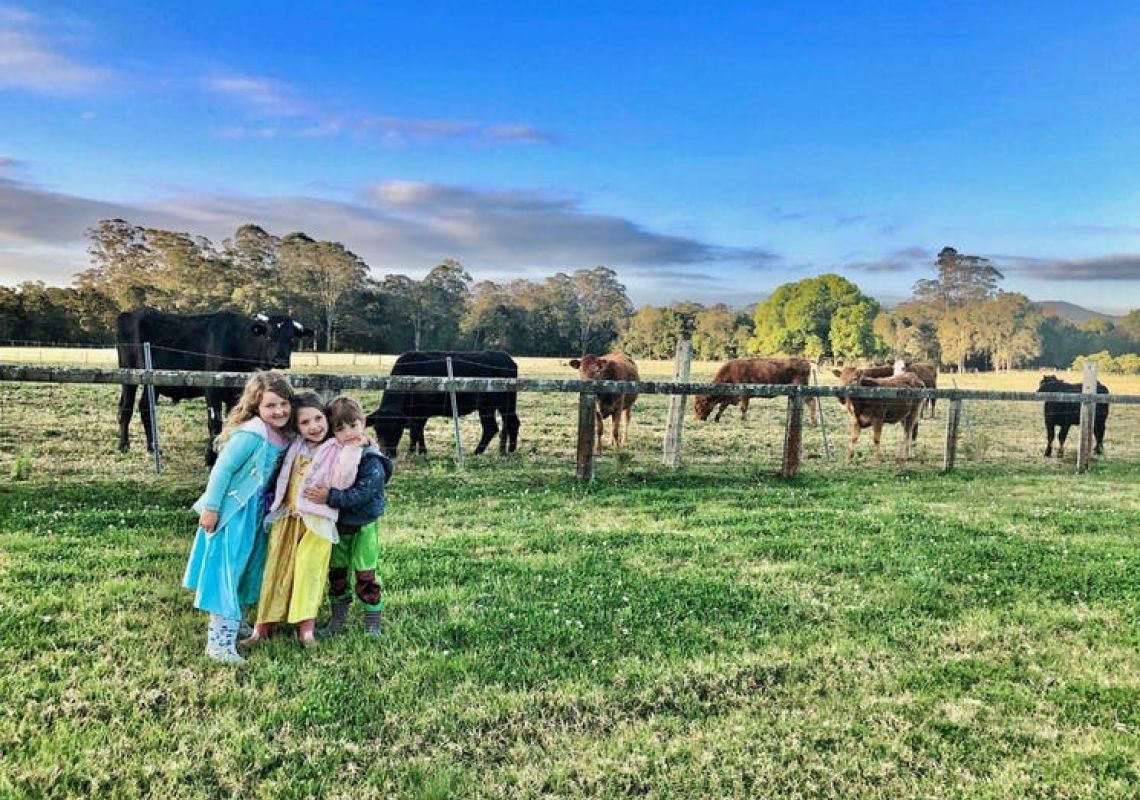 Happy children and cows at Karinya Farmstay in Tuggerah,  Wyong Area 
