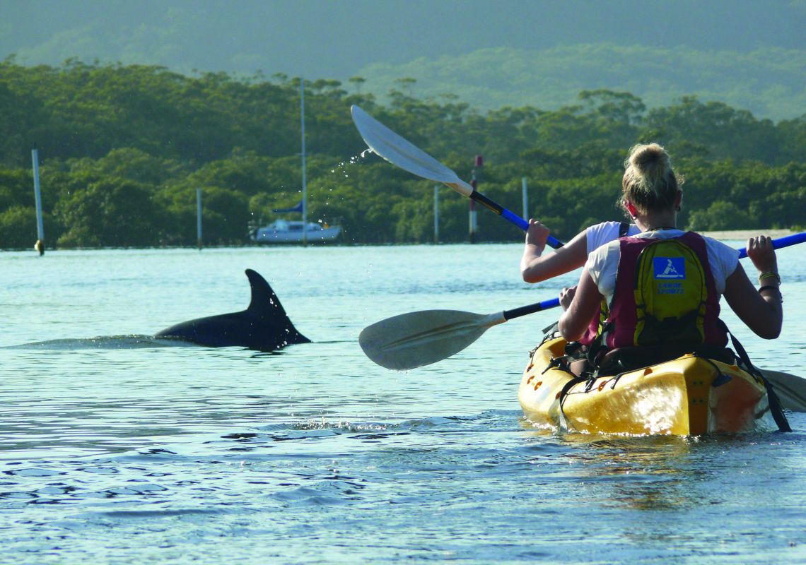 Lazy Paddles Kayak, Myall Lakes in Tea Gardens, Forster & Taree Area, North Coast