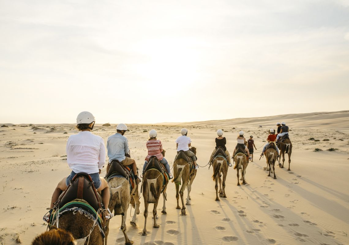 Sunset camel riding experience with in Anna Bay, Port Stephens